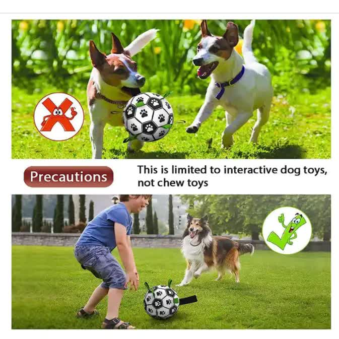 Interactive Dog Soccer Ball with Rope – 19cm